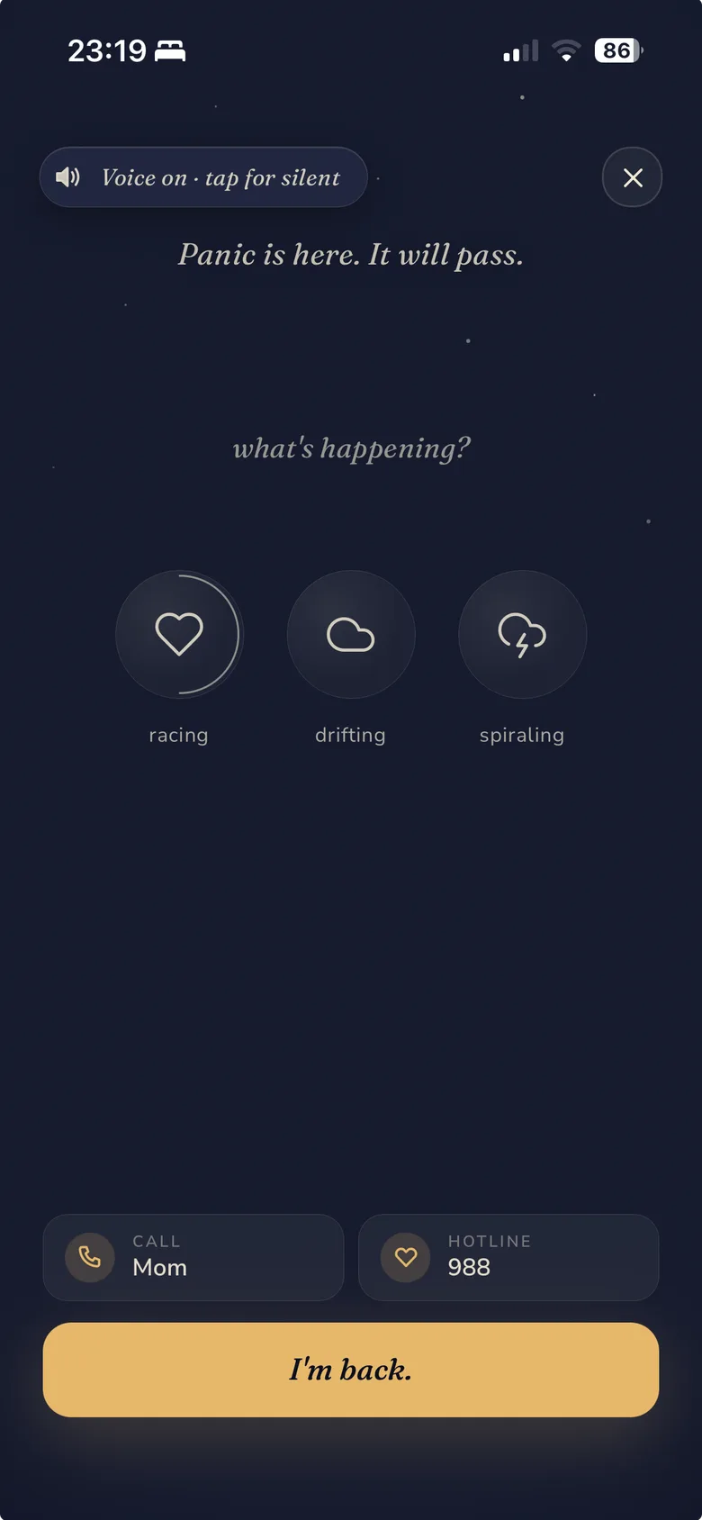 Stillee's panic screen on iPhone, headed 'Panic is here. It will pass.' over a quiet night sky, with three large round taps for racing, drifting, or spiraling, shortcuts to call a trusted contact or a crisis hotline, and a single 'I'm back.' button.